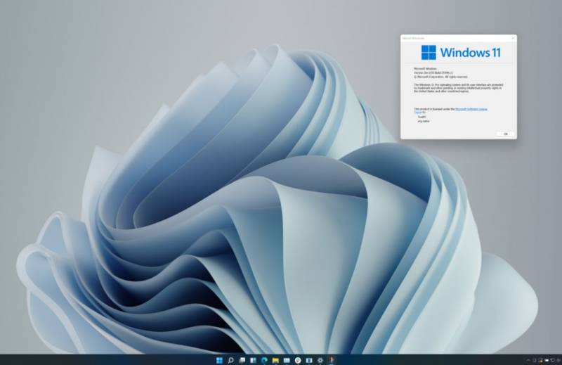 Microsoft Windows 11 Leak Shows