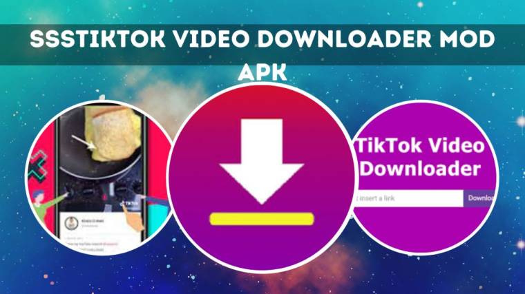 SSSTikTok Video Downloader Mod Apk1