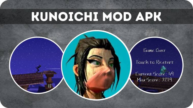 Kunoichi Mod Apk 1