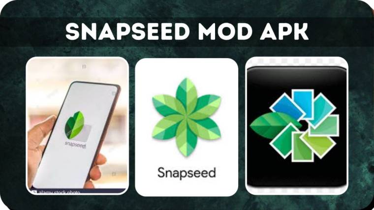 SNAPSEED MOD APK 2