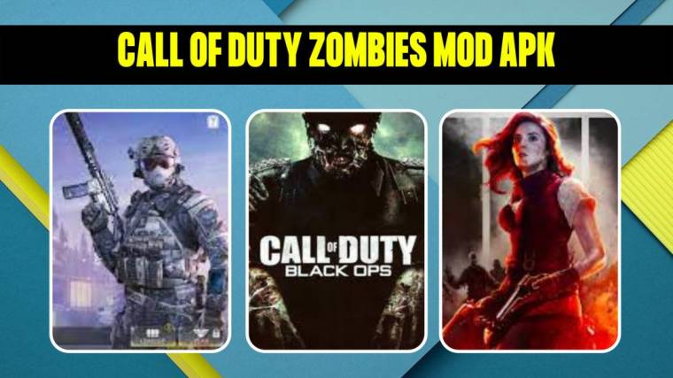 Call Of Duty Zombies Mod Apk 2