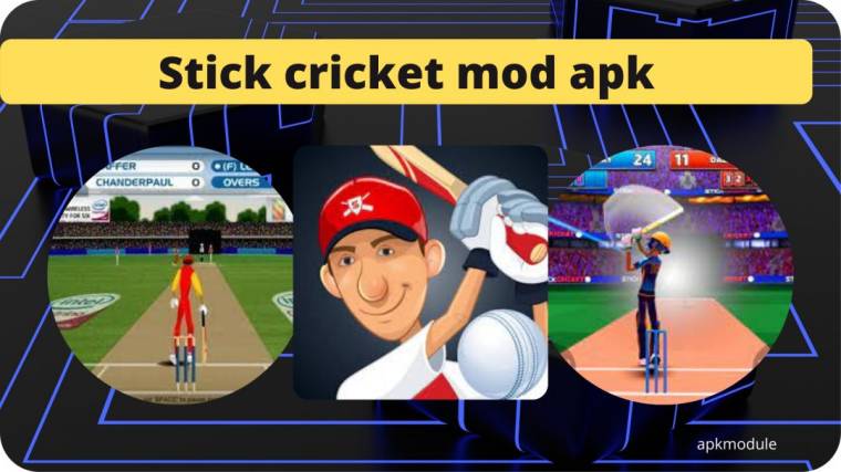 Stick Cricket