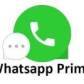 WhatsApp Prime Mod Apk