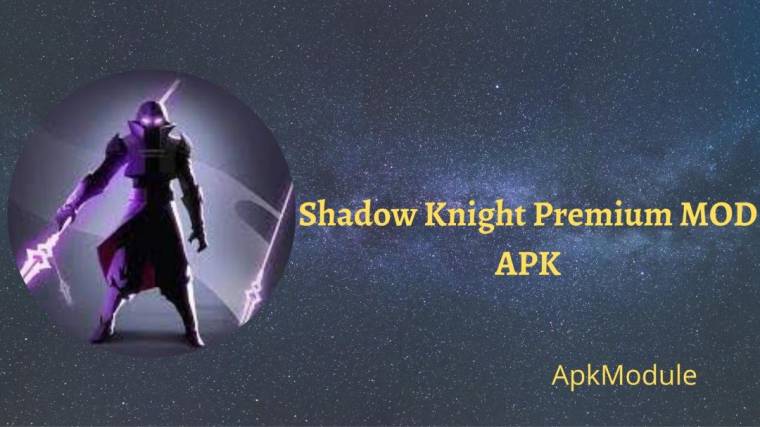 Shadow Knight Premium MOD APK