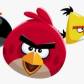 Rovio Classics Angry Birds APK