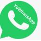 Yowhatsapp Apk Latest Version 2022