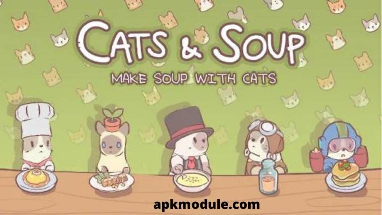 Cats And Soup