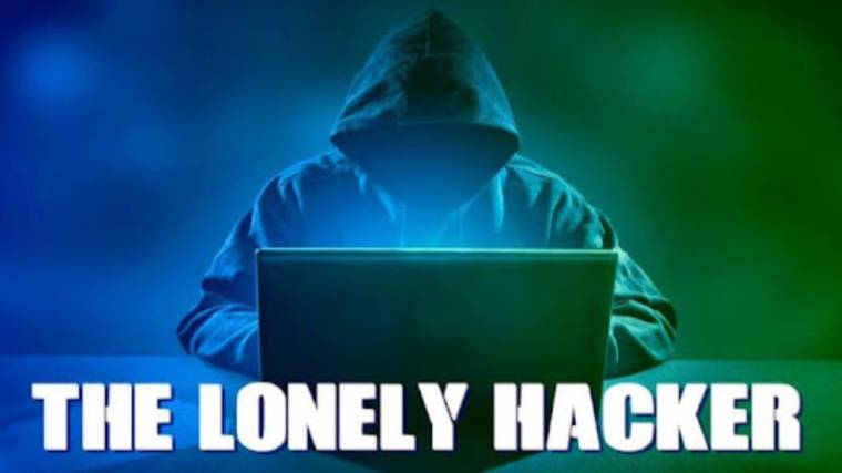 The Lonely Hacker Mod APK